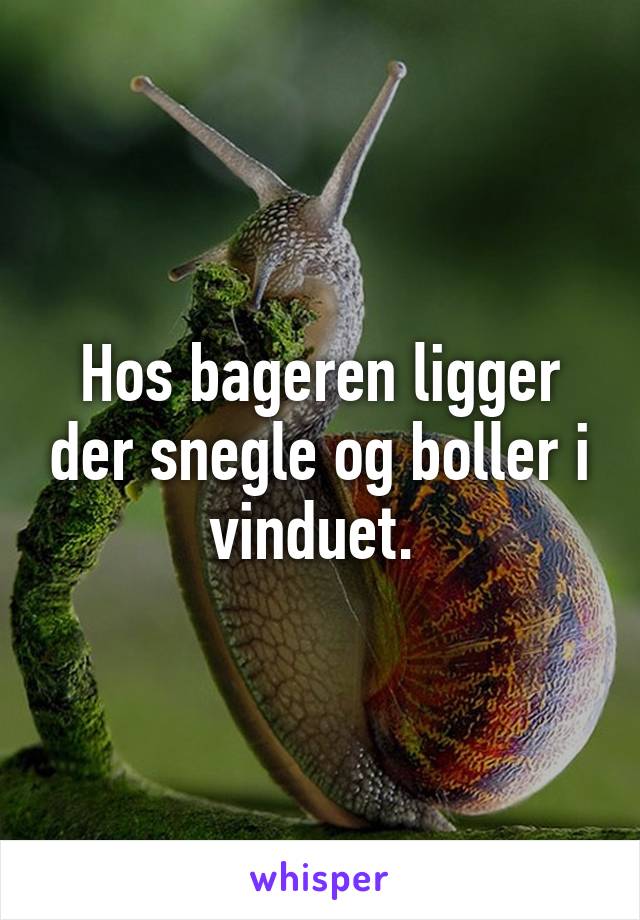 Hos bageren ligger der snegle og boller i vinduet. 