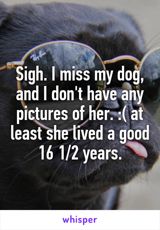 Sigh. I miss my dog, and I don't have any pictures of her. :( at least she lived a good 16 1/2 years.