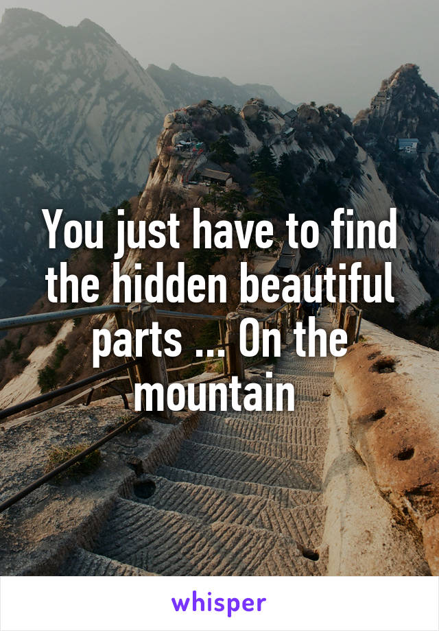 You just have to find the hidden beautiful parts ... On the mountain 