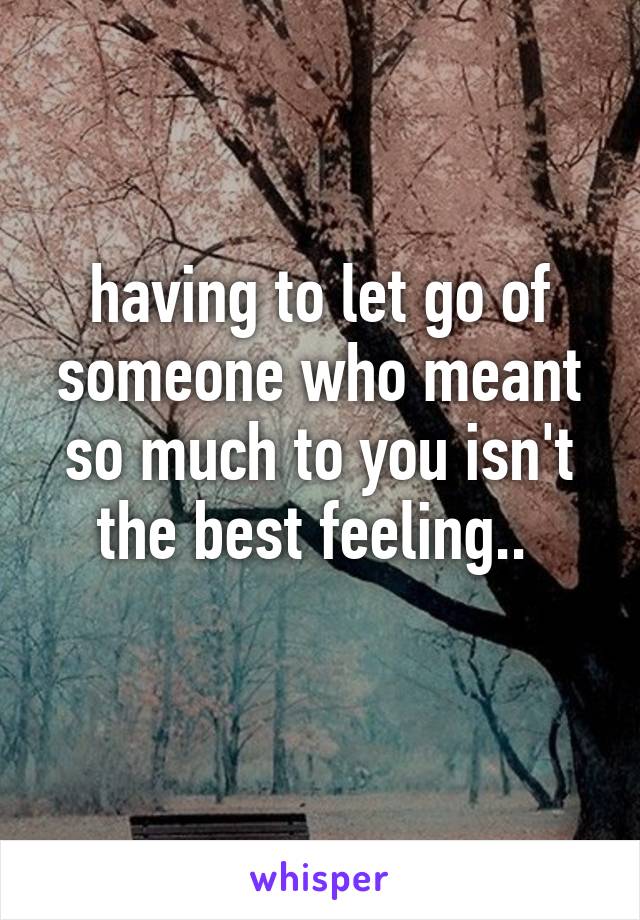 having to let go of someone who meant so much to you isn't the best feeling.. 
