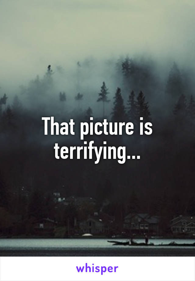 That picture is terrifying...