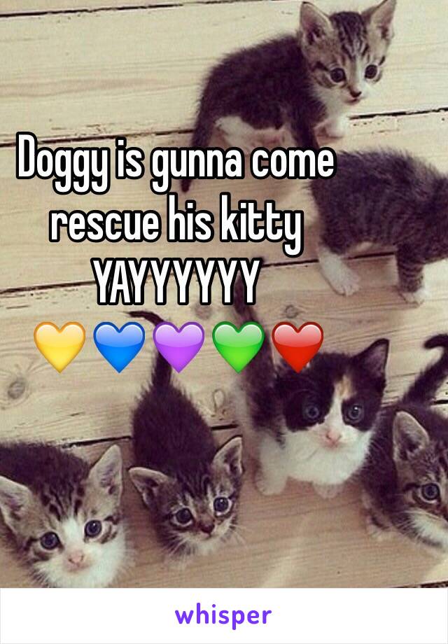 Doggy is gunna come rescue his kitty YAYYYYYY 
💛💙💜💚❤️