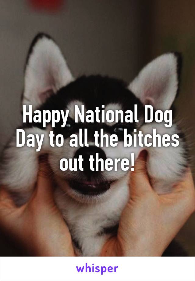 Happy National Dog Day to all the bitches out there!