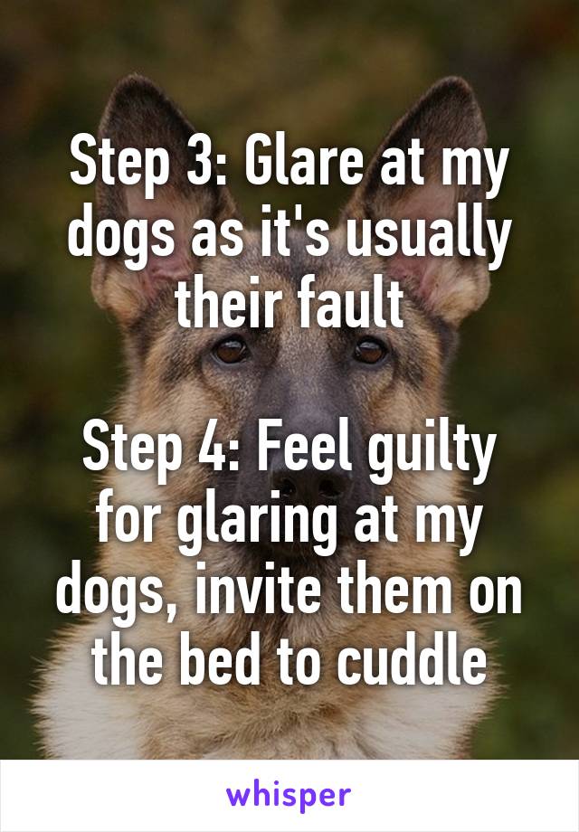 Step 3: Glare at my dogs as it's usually their fault

Step 4: Feel guilty for glaring at my dogs, invite them on the bed to cuddle