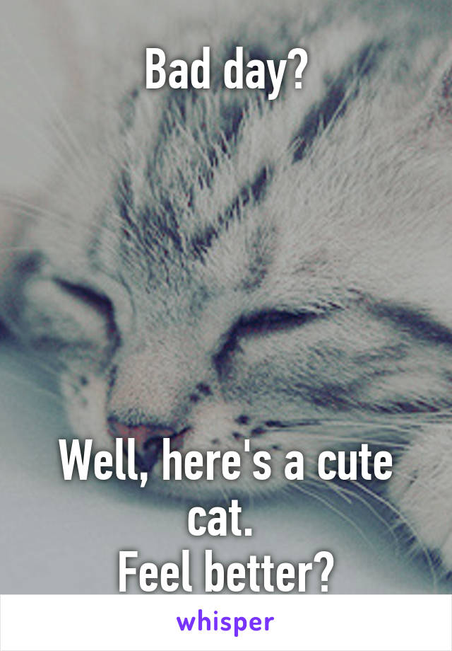 Bad day?






Well, here's a cute cat. 
Feel better?