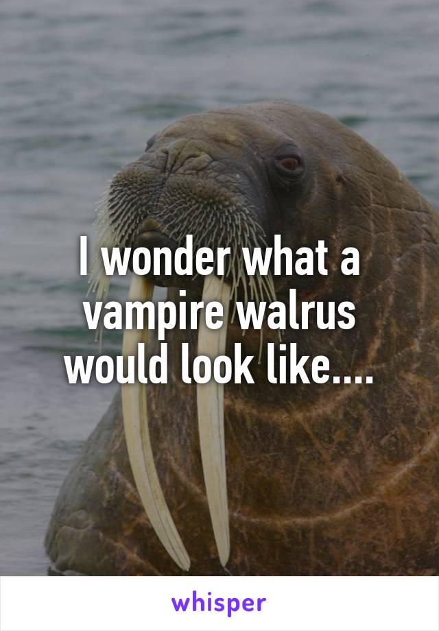 I wonder what a vampire walrus would look like....