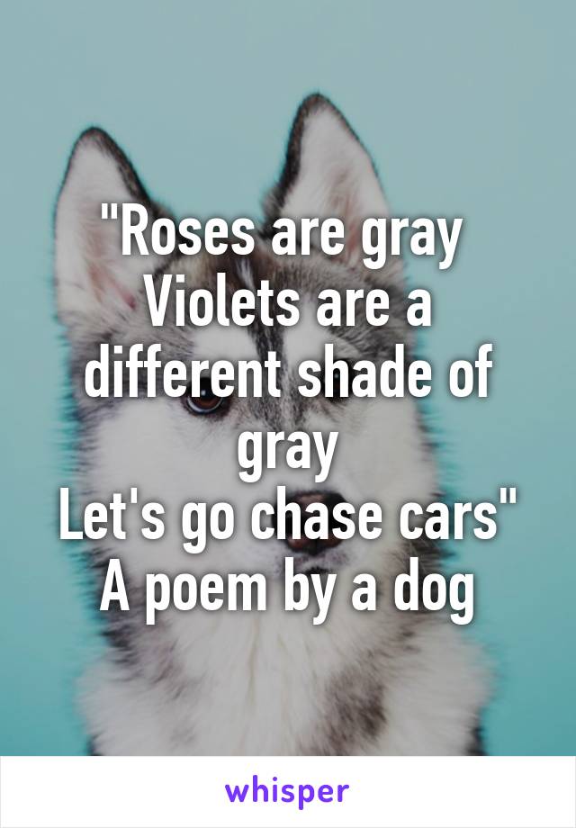 "Roses are gray 
Violets are a different shade of gray
Let's go chase cars"
A poem by a dog