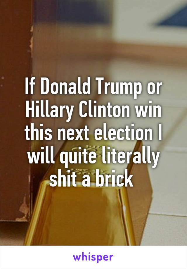 If Donald Trump or Hillary Clinton win this next election I will quite literally shit a brick 