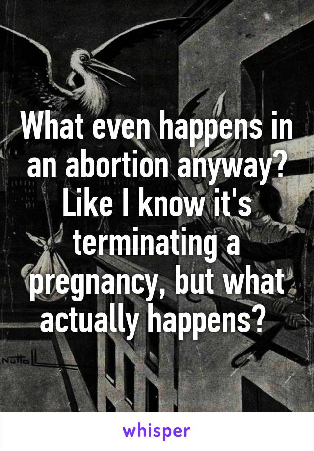 What even happens in an abortion anyway? Like I know it's terminating a pregnancy, but what actually happens? 