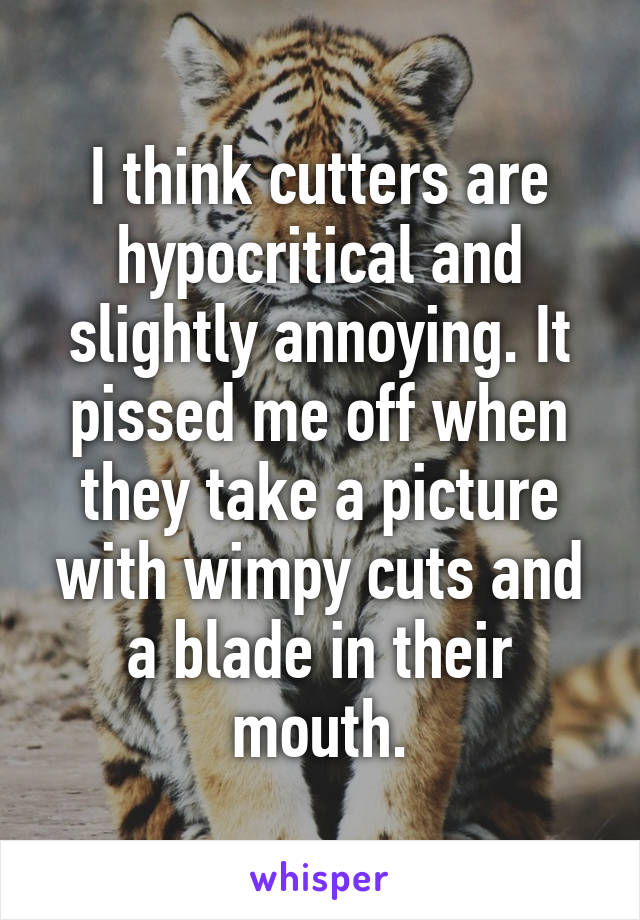 I think cutters are hypocritical and slightly annoying. It pissed me off when they take a picture with wimpy cuts and a blade in their mouth.