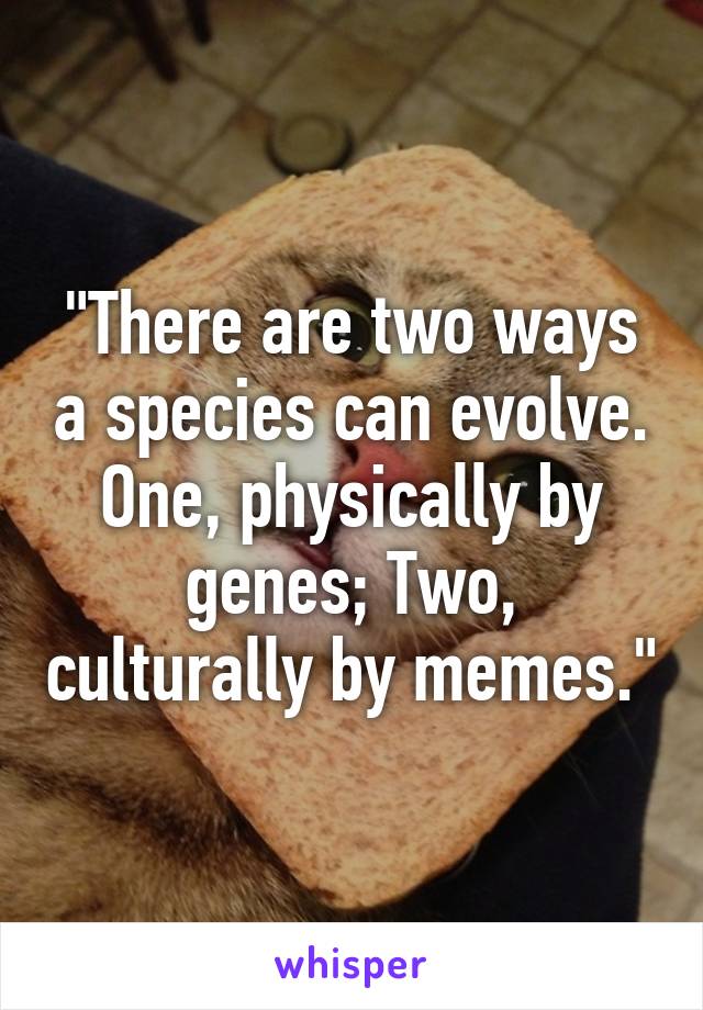 "There are two ways a species can evolve. One, physically by genes; Two, culturally by memes."