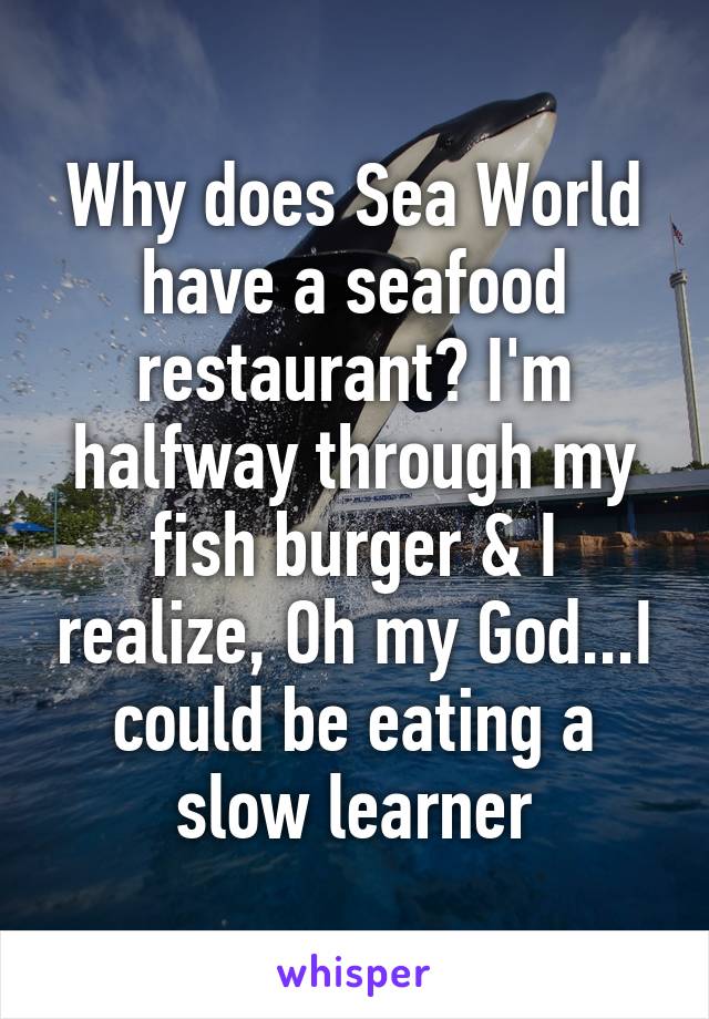 Why does Sea World have a seafood restaurant? I'm halfway through my fish burger & I realize, Oh my God...I could be eating a slow learner