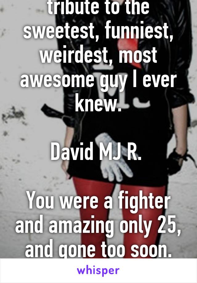 I would like to pay a tribute to the sweetest, funniest, weirdest, most awesome guy I ever knew.

David MJ R. 

You were a fighter and amazing only 25, and gone too soon.
R.I.P. We love you
