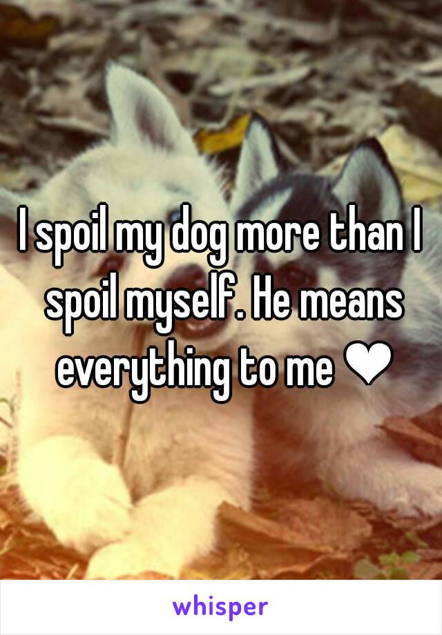 I spoil my dog more than I spoil myself. He means everything to me ❤