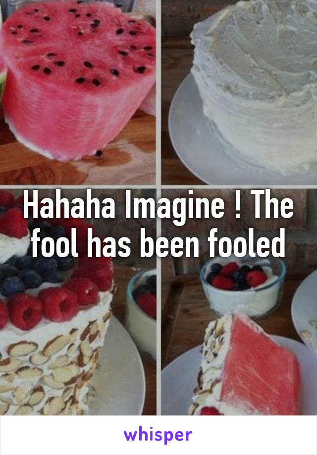 Hahaha Imagine ! The fool has been fooled