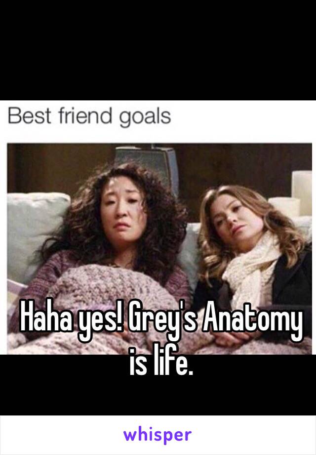 Haha yes! Grey's Anatomy is life. 