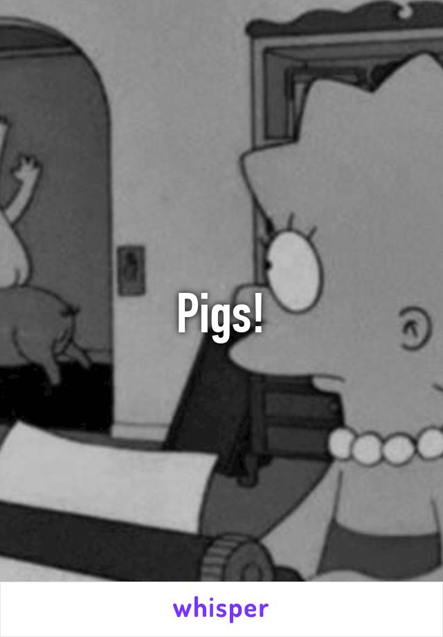 Pigs!