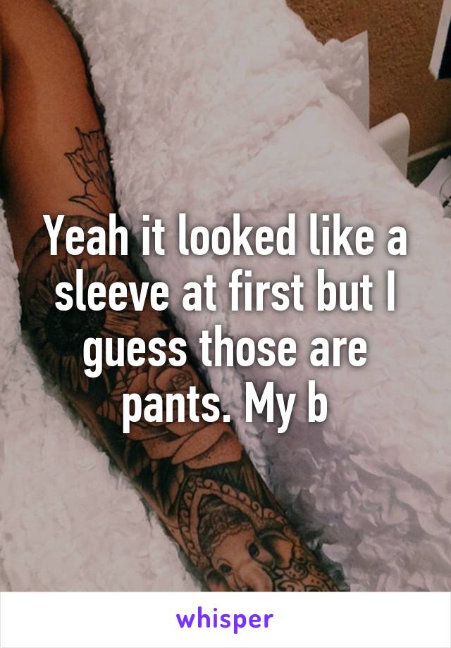 Yeah it looked like a sleeve at first but I guess those are pants. My b