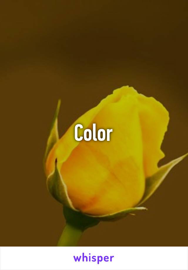 Color