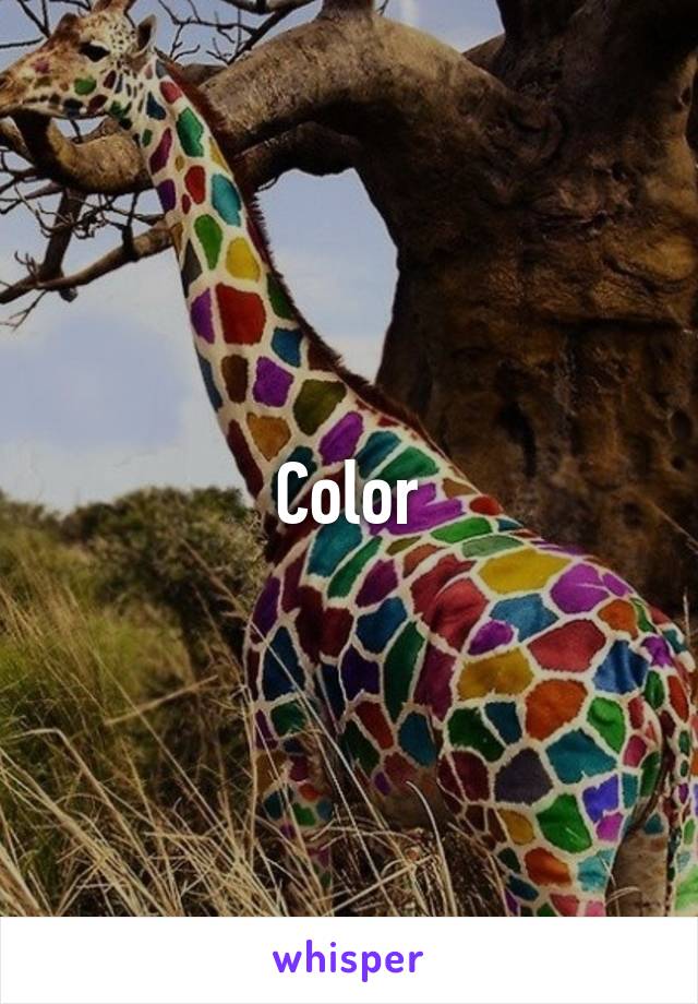 Color