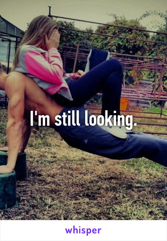 I'm still looking.