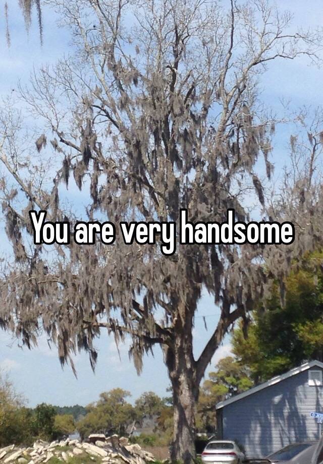 you-are-very-handsome