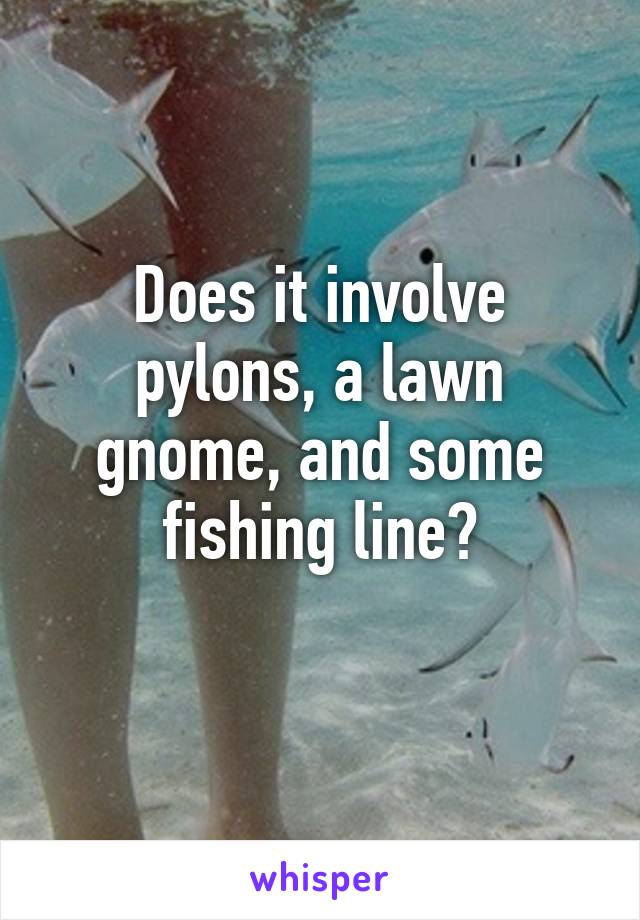 Does it involve pylons, a lawn gnome, and some fishing line?
