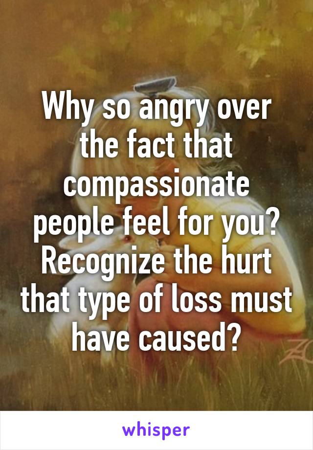 Why so angry over the fact that compassionate people feel for you? Recognize the hurt that type of loss must have caused?