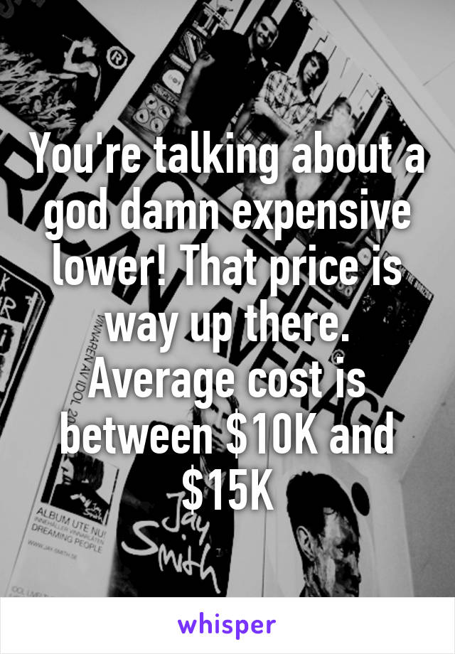 You're talking about a god damn expensive lower! That price is way up there. Average cost is between $10K and $15K