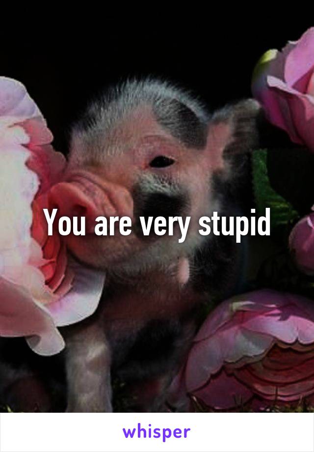 You are very stupid