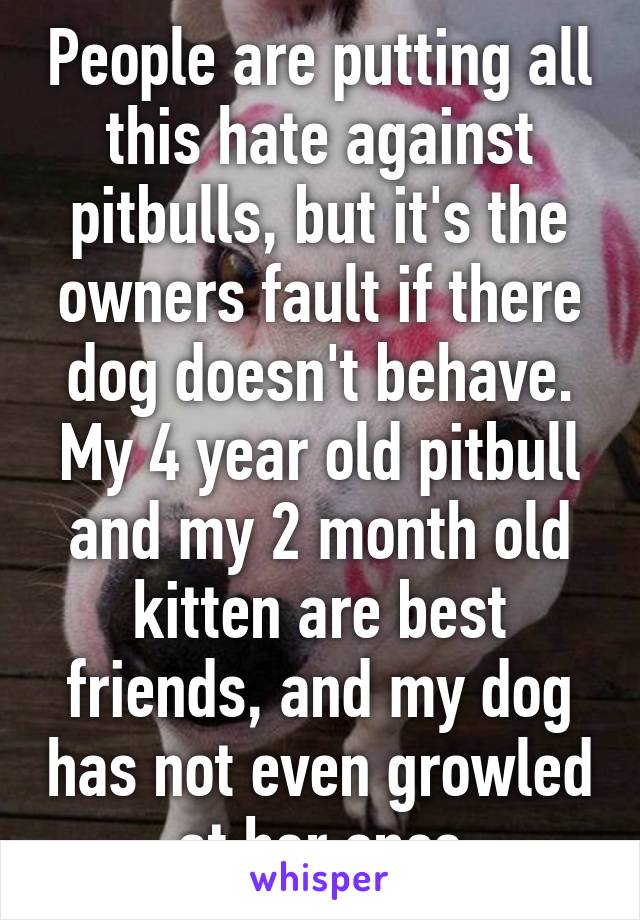 People are putting all this hate against pitbulls, but it's the owners fault if there dog doesn't behave. My 4 year old pitbull and my 2 month old kitten are best friends, and my dog has not even growled at her once