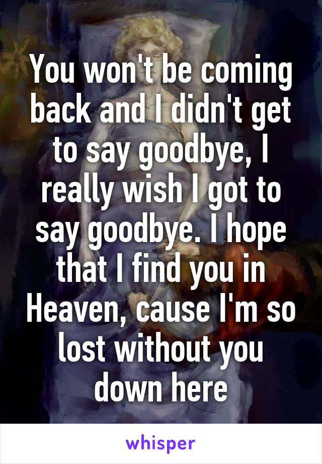 You won't be coming back and I didn't get to say goodbye, I really wish I got to say goodbye. I hope that I find you in Heaven, cause I'm so lost without you down here