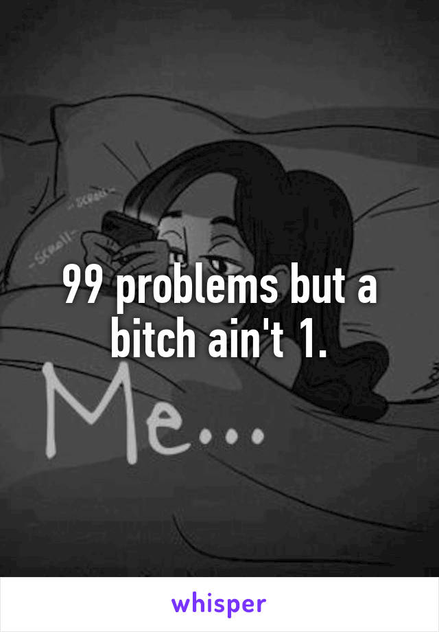 99 problems but a bitch ain't 1.