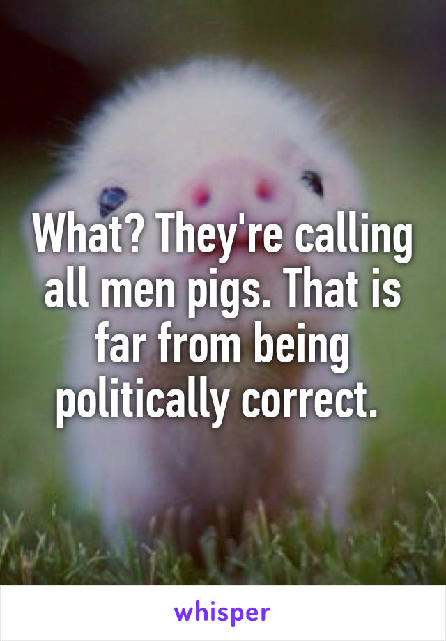 What? They're calling all men pigs. That is far from being politically correct. 