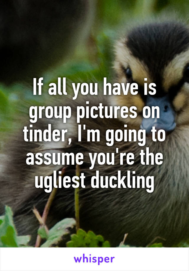 If all you have is group pictures on tinder, I'm going to assume you're the ugliest duckling