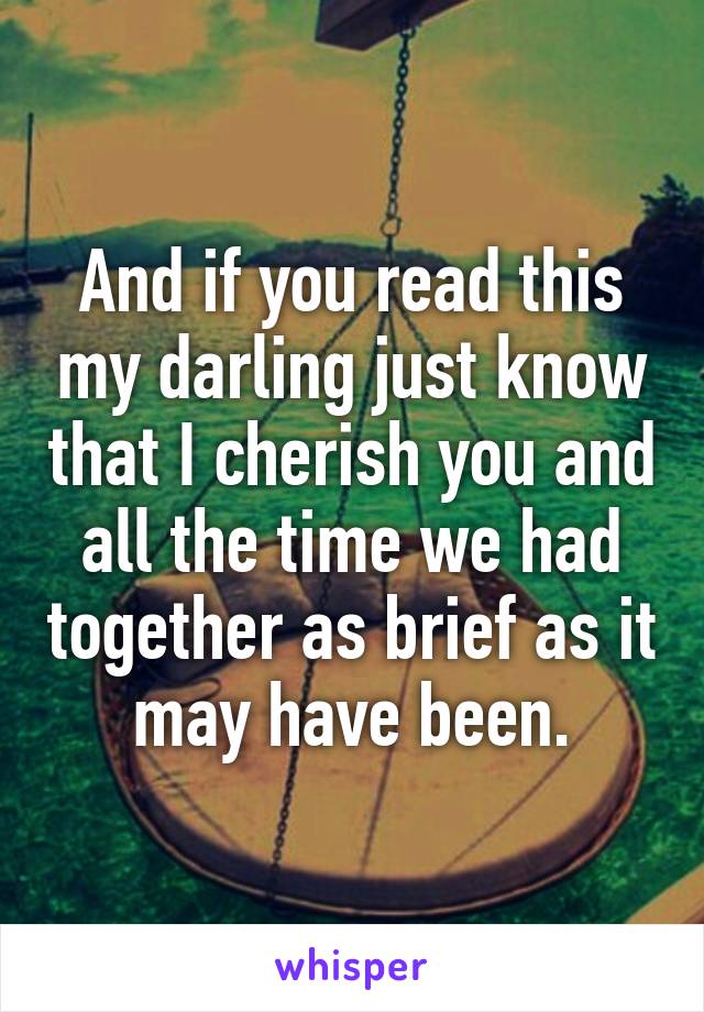 And if you read this my darling just know that I cherish you and all the time we had together as brief as it may have been.