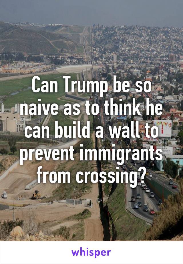 Can Trump be so naive as to think he can build a wall to prevent immigrants from crossing?