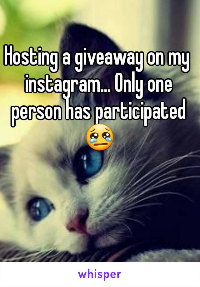 Hosting a giveaway on my instagram... Only one person has participated 😢