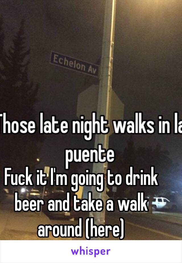 Fuck it I'm going to drink beer and take a walk around (here)