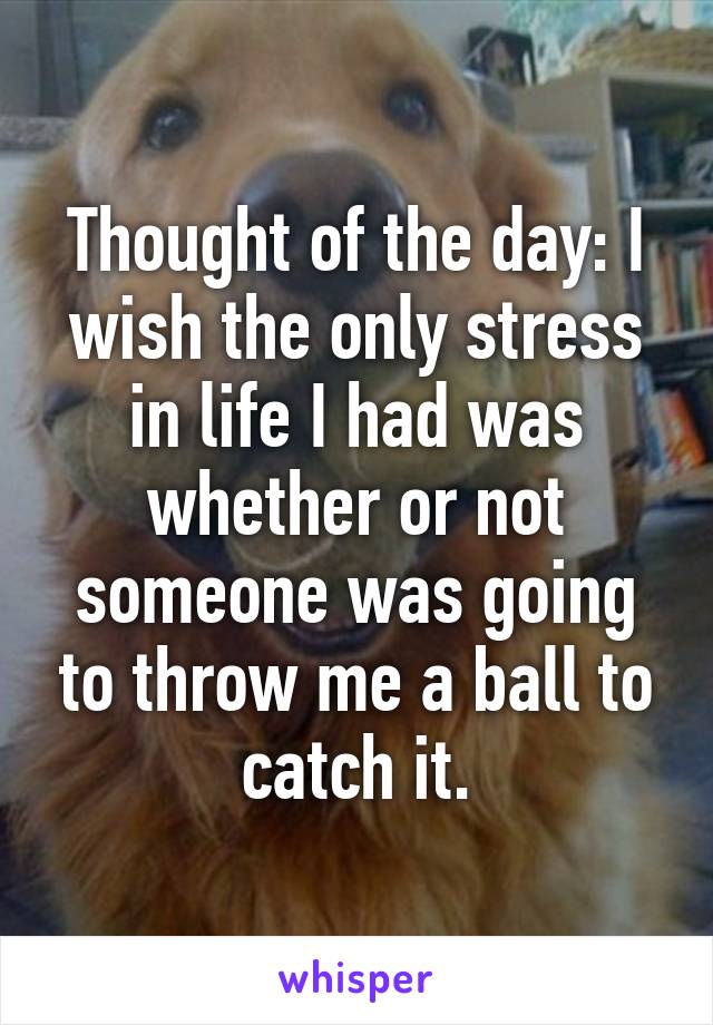 Thought of the day: I wish the only stress in life I had was whether or not someone was going to throw me a ball to catch it.