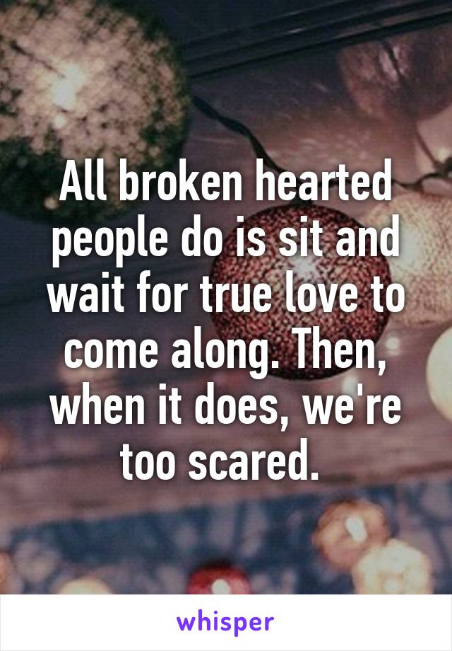 All broken hearted people do is sit and wait for true love to come along. Then, when it does, we're too scared. 