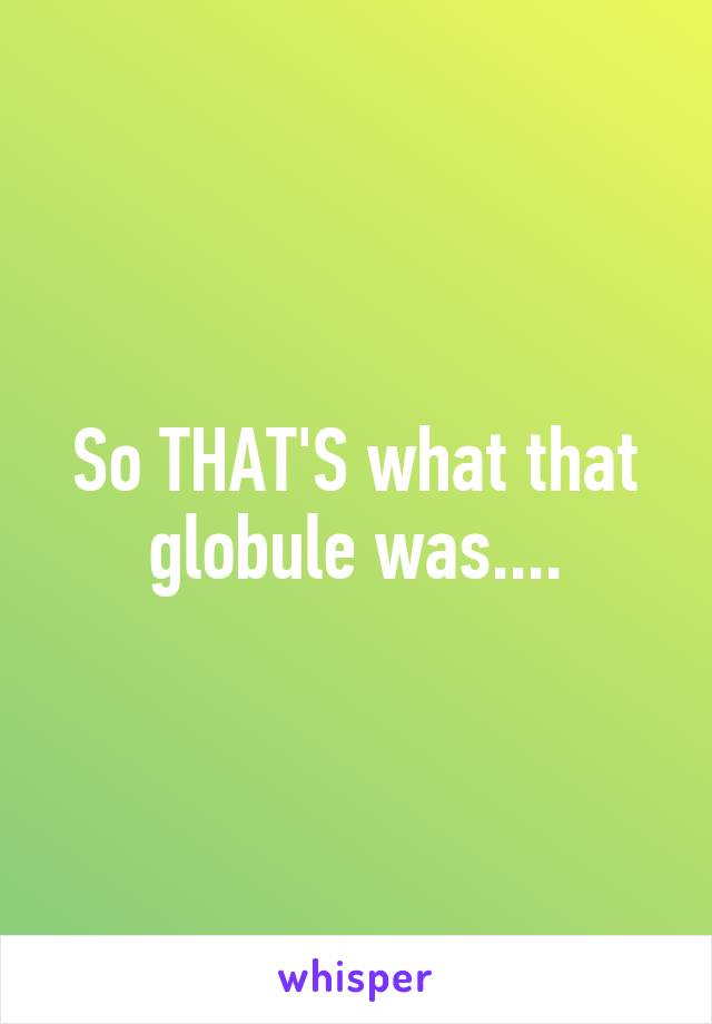 So THAT'S what that globule was....