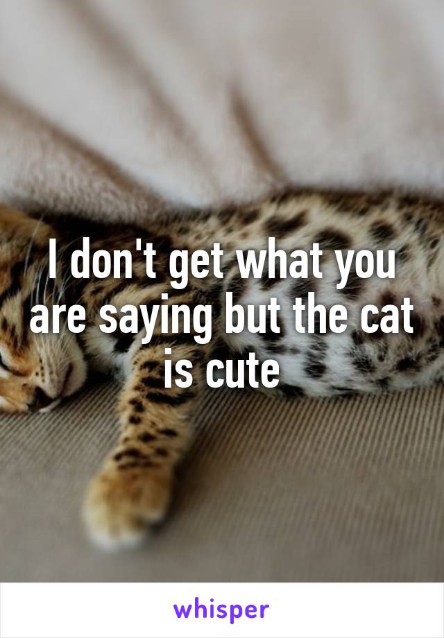 I don't get what you are saying but the cat is cute