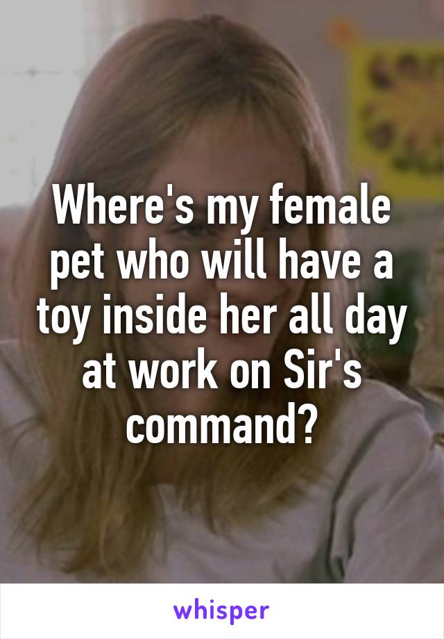 Where's my female pet who will have a toy inside her all day at work on Sir's command?