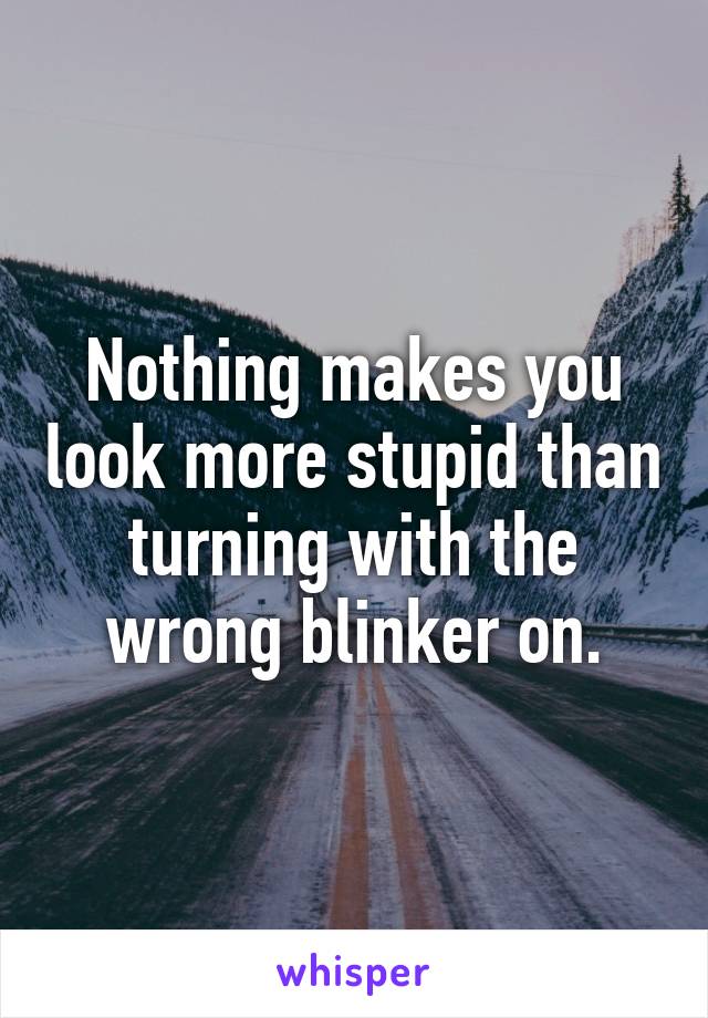 Nothing makes you look more stupid than turning with the wrong blinker on.