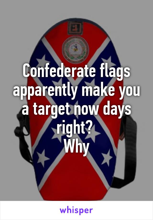 Confederate flags apparently make you a target now days right? 
Why