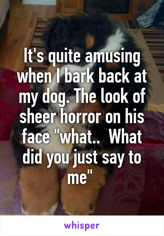 It's quite amusing when I bark back at my dog. The look of sheer horror on his face "what..  What did you just say to me" 