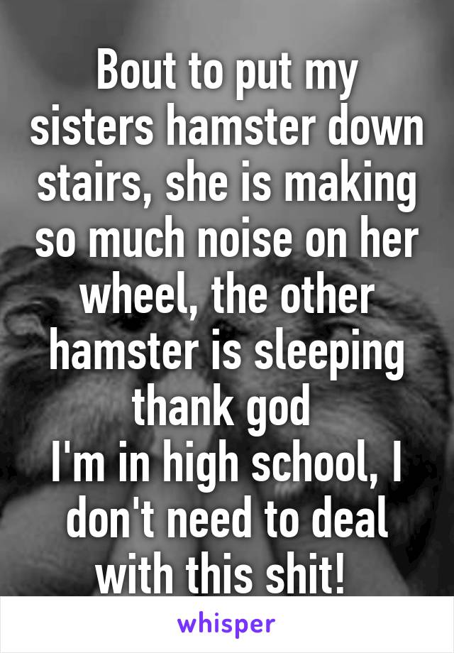 Bout to put my sisters hamster down stairs, she is making so much noise on her wheel, the other hamster is sleeping thank god 
I'm in high school, I don't need to deal with this shit! 