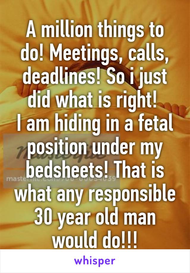 A million things to do! Meetings, calls, deadlines! So i just did what is right! 
I am hiding in a fetal position under my bedsheets! That is what any responsible 30 year old man would do!!!