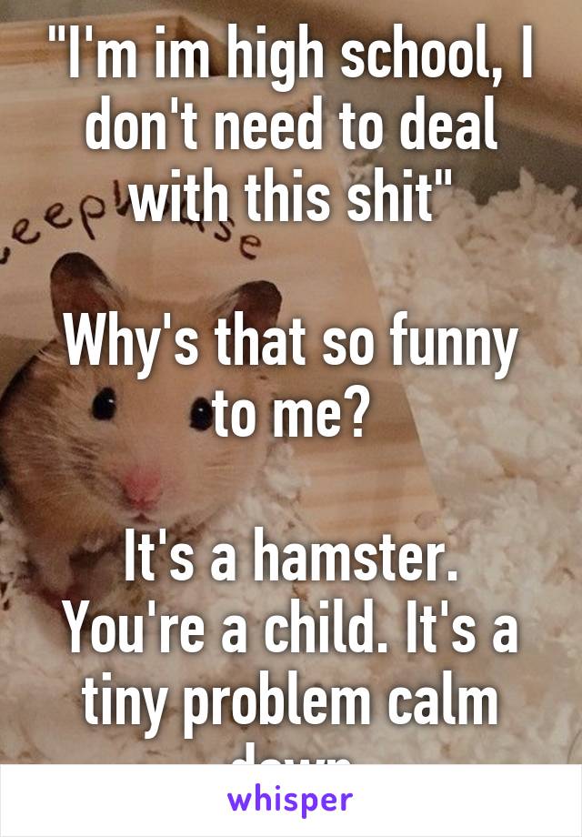 "I'm im high school, I don't need to deal with this shit"

Why's that so funny to me?

It's a hamster. You're a child. It's a tiny problem calm down